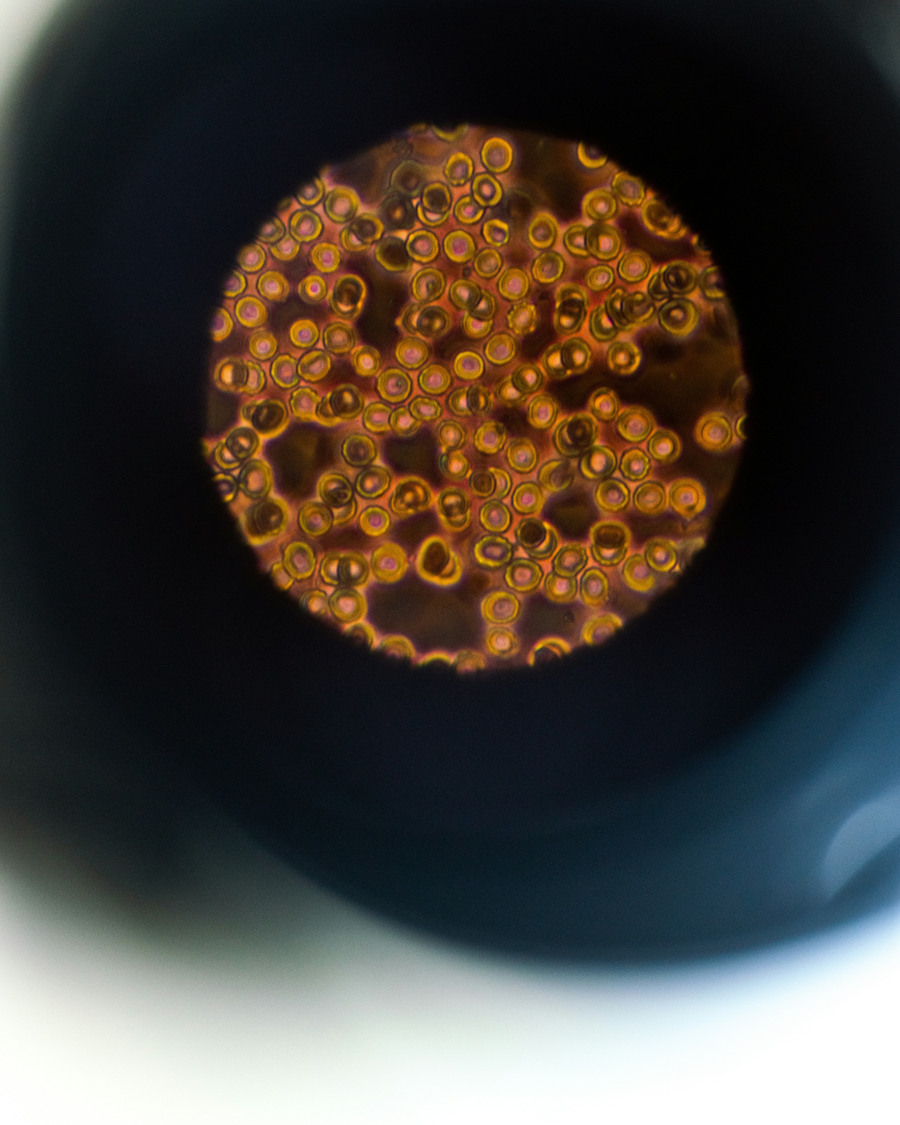 Would Your Doctor Agree?