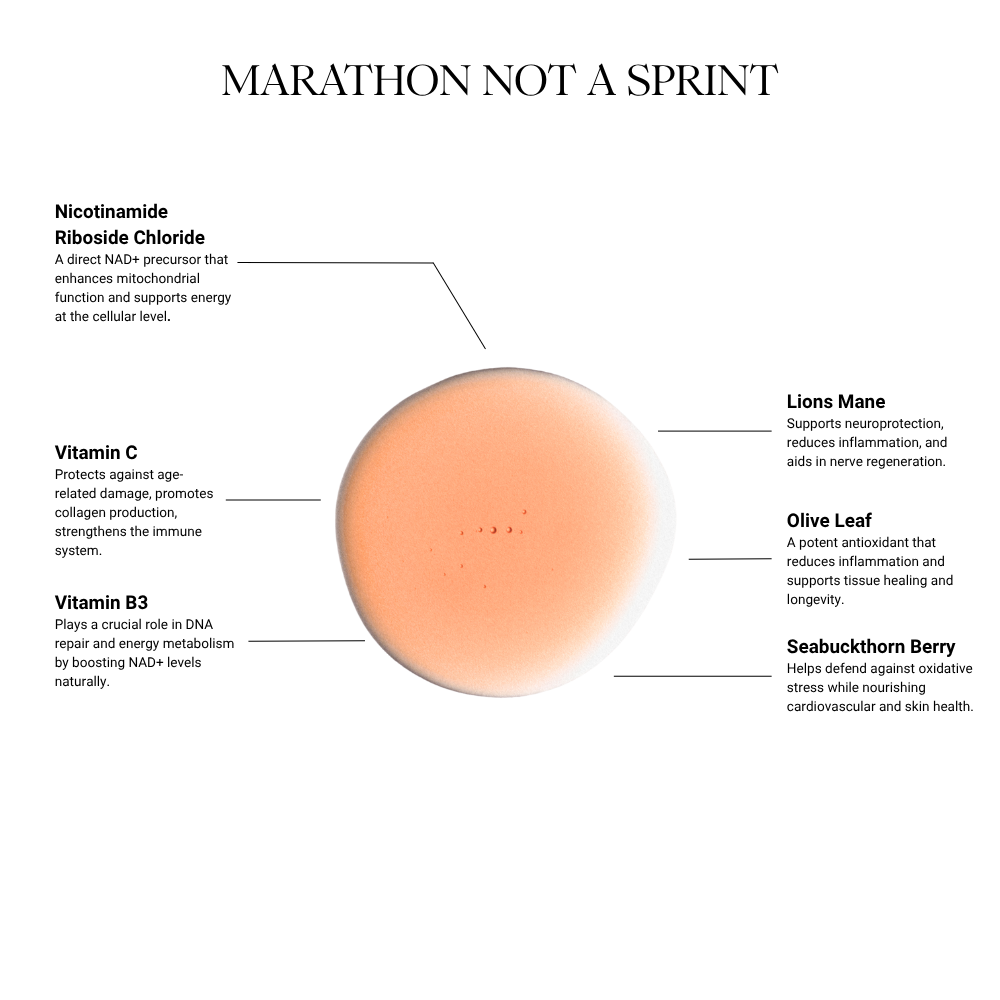 THE RITUAL COLLECTION