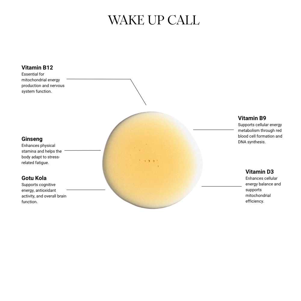 THE RITUAL COLLECTION