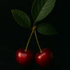 MONTMORENCY CHERRY