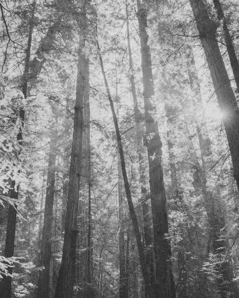 Sustainable packaging image